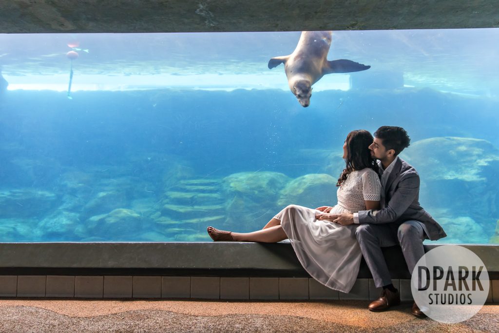 best-oc-engagement-locations-long-beach-aquarium-photographer