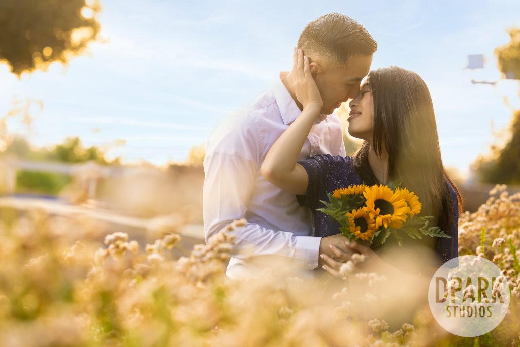 orange-county-anaheim-hills-chinese-engagement-photographer