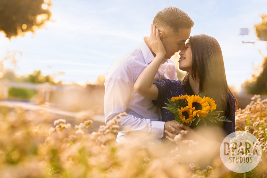 sunflower-engagement