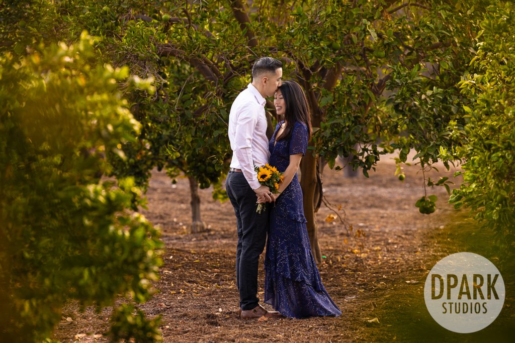 chinese-engagement-photographer