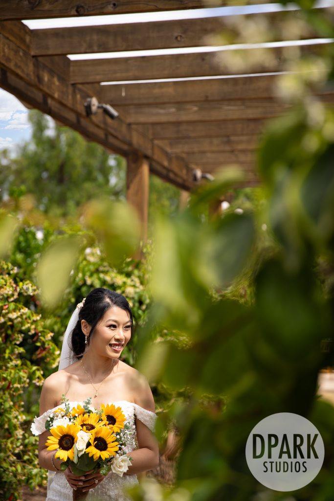 Wedding party portraits in sunflower field by top Orange County wedding photographer D. Park Studios