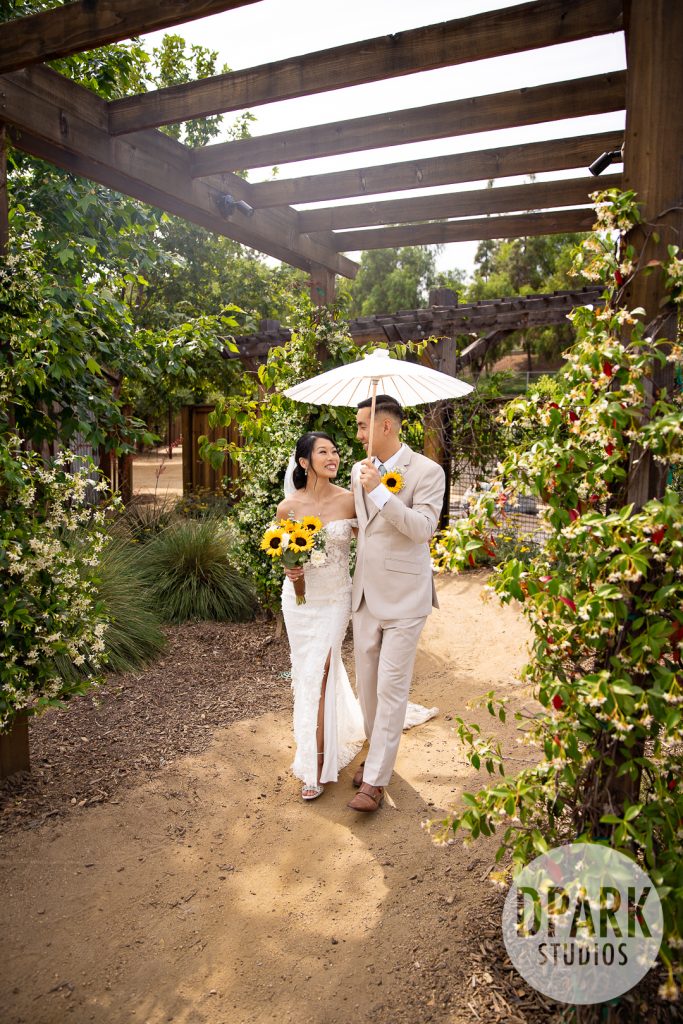 Sunflower wedding arch at Gold Coast Farms by Daisy’s Flowers captured by destination photographer D. Park Studios